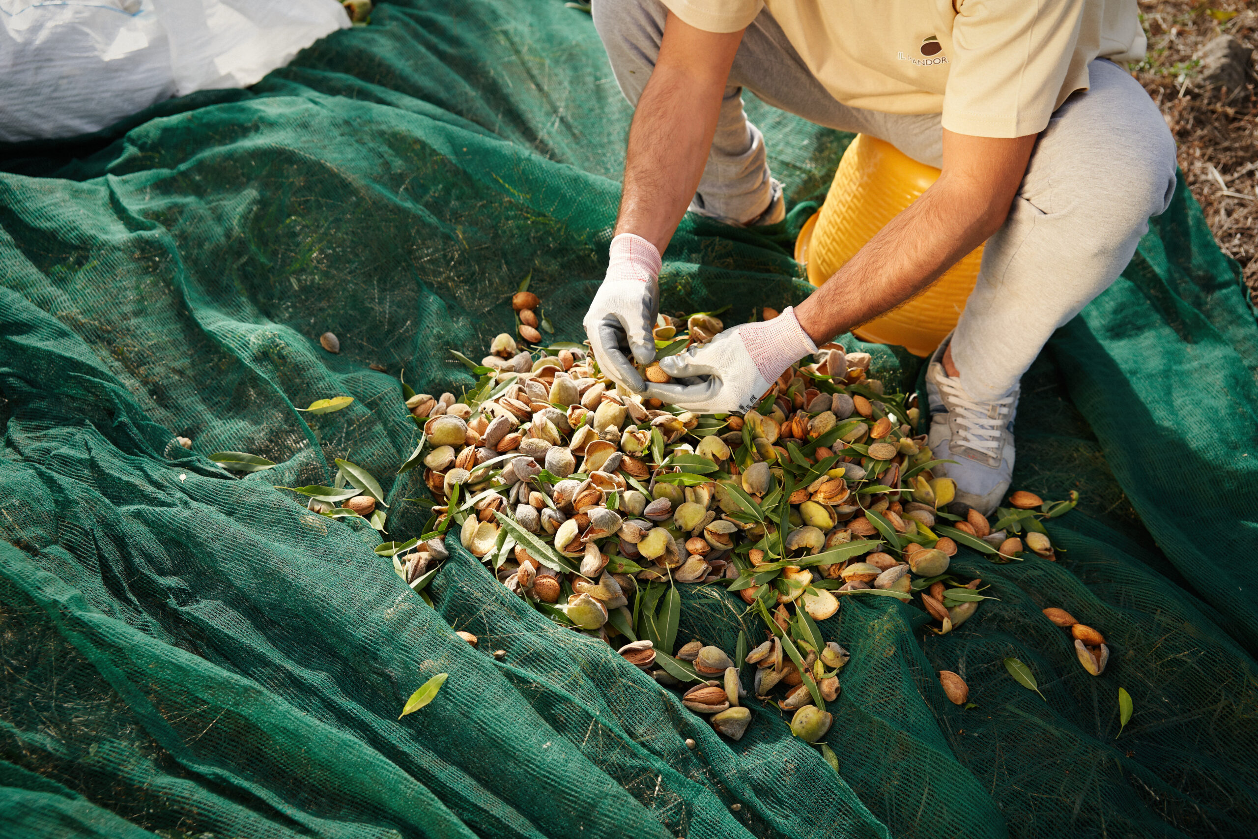 038-Sep 06 2020 038-Sep 06 2020