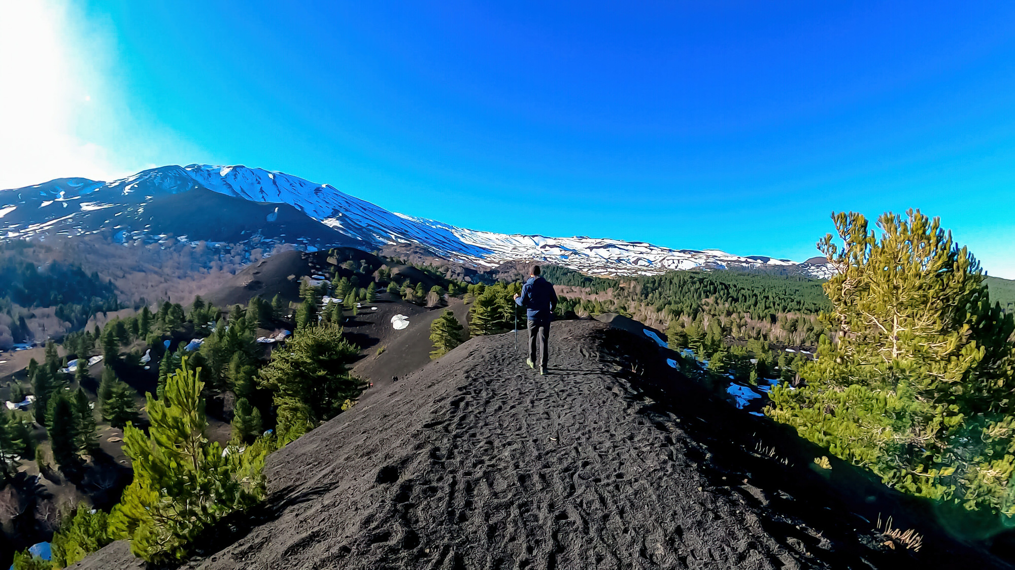 Man hiking around crater of Sartorio on volcanic landscape of volcano mount Etna, in Sicily, Italy, Europe. Pine and white birch trees growing on solidified lava, ash, pumice. Slopes covered with snow Man hiking around crater of Sartorio on volcanic landscape of volcano mount Etna, in Sicily, Italy, Europe. Pine and white birch trees growing on solidified lava, ash, pumice. Slopes covered with snow