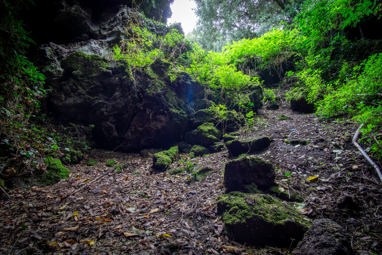 002 – October 01, 2016 002 - October 01, 2016